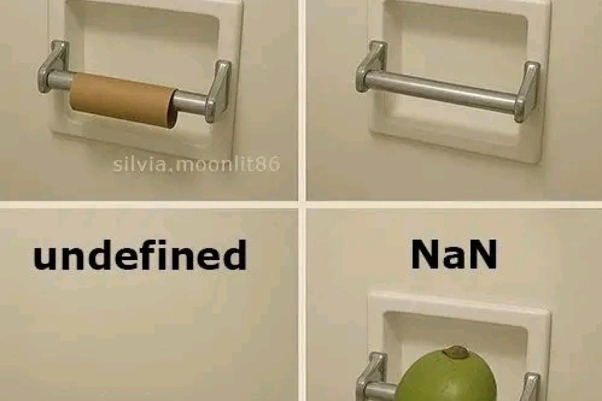 Understanding null, NaN, undefined, and 0 in JavaScript: The Ultimate Guide