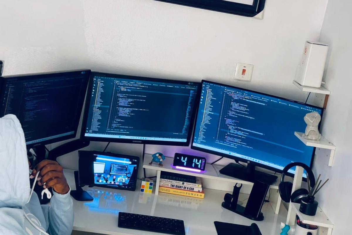 How Developers Should Tackle Bugs Professionally