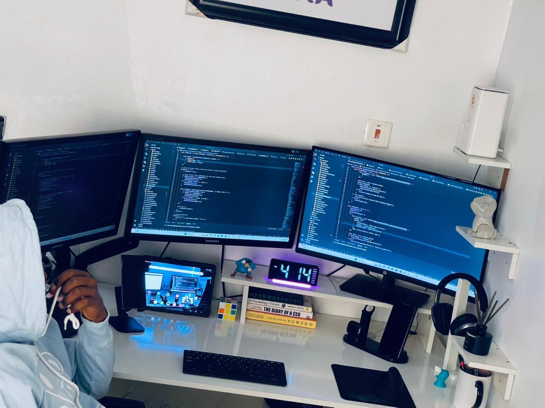 How Developers Should Tackle Bugs Professionally